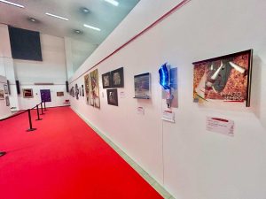 Vigiliinarte_mostra_bologna-25-29